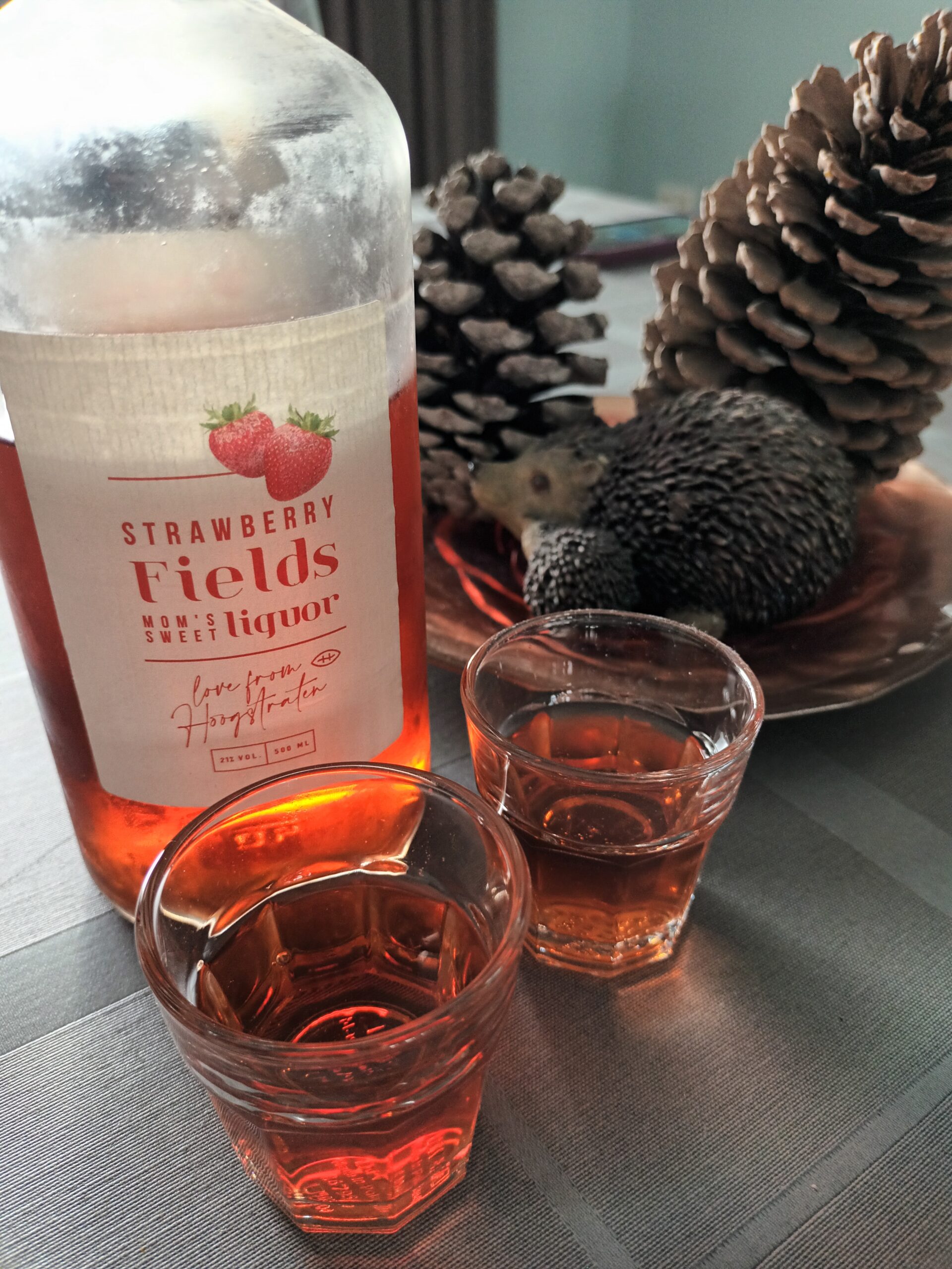 Nieuwe website online en dat vieren we