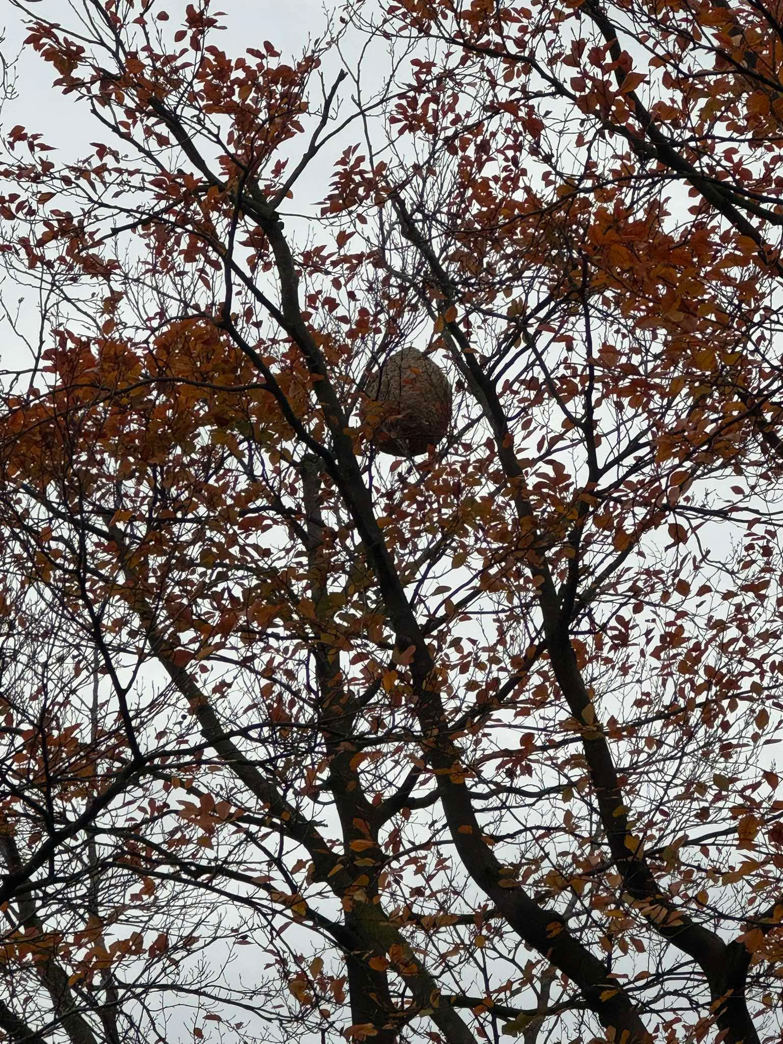 De natuur volgt geen agenda